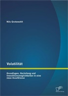 Nils Grotewohlt - Volatilität: Grundlagen, Herleitung und Investitionsmöglichkeiten in eine neue Assetklasse