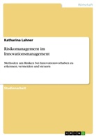 Katharina Lahner - Risikomanagement im Innovationsmanagement