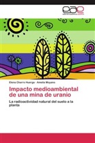 Elen Charro Huerga, Elena Charro Huerga, Amelia Moyano - Impacto medioambiental de una mina de uranio