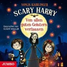 Sonja Kaiblinger, Robert Missler - Scary Harry - Von allen guten Geistern verlassen, 3 Audio-CDs (Audio book)