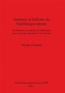 Nicolas Fromont - Anneaux Et Cultures Du Neolithique Ancien