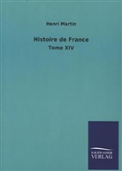 Henri Martin - Histoire de France. Bd.14