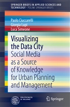 Paol Ciuccarelli, Paolo Ciuccarelli, Giorgi Lupi, Giorgia Lupi, Luca Simeone - Visualizing the Data City