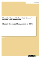 Christoph Klein, Niels Schrahe, Steffen Schulte-Limbeck, Maximilian Wegener - Human Resource Management at RWE
