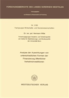 Hermann Witte - Analyse der Auswirkungen von unterschiedlichen Formen der Finanzierung öffentlicher Verkehrsinvestitionen