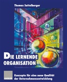 Thoma Sattelberger, Thomas Sattelberger - Die lernende Organisation