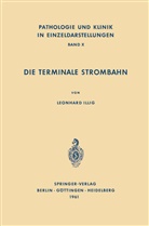 L Illig, L. Illig - Die Terminale Strombahn
