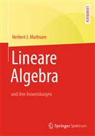 Herbert J Muthsam, Herbert J. Muthsam - Lineare Algebra
