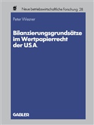 Peter Wesner - Bilanzierungsgrundsätze im Wertpapierrecht der U.S.A.