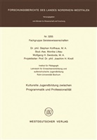 Stephan Kolfhaus - Kulturelle Jugendbildung zwischen Programmatik und Professionalität