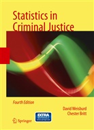 Chester Britt, Davi Weisburd, David Weisburd - Statistics in Criminal Justice
