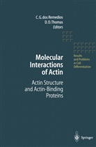 D Thomas, D Thomas, C. G. Dos Remedios, C.G. dos Remedios, G dos Remedios, C G dos Remedios... - Molecular Interactions of Actin