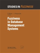 Patric Bosc, Patrick Bosc - Fuzziness in Database Management Systems