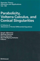 Sergio Albeverio, Michae Demuth, Michael Demuth, Elmar Schrohe, Elmar Schrohe et al, Bert-Wolfgang Schulze - Parabolicity, Volterra Calculus, and Conical Singularities