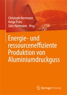 Götz Hartmann, Christoph Herrmann, Helg Pries, Helge Pries - Energie- und ressourceneffiziente Produktion von Aluminiumdruckguss