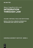 Mauro Cappelletti, Mauro Cappelletti, Joseph H Weiler, Monic Seccombe, Monica Seccombe, Joseph H. Weiler - Integration through Law, in 6 Vols. - Vol 1. Book 2: Political Organs, Integration Techniques and Judicial Process