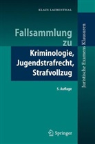 Klaus Laubenthal - Fallsammlung zu Kriminologie, Jugendstrafrecht, Strafvollzug
