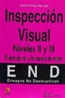 Asociación Española De Ensayos No Destructivos, Gabriel Delojo Morcillo - END, inspección visual