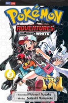 Gerry Conway, Nicola Cuti, Bill Dubay, Gardner Fox, Archie Goodwin, Hidenori Kusaka... - Pokemon Adventures Black and White v.03
