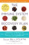 Michele Bender, Susan Blum, Susan S. Blum, Susan/ Bender Blum - The Immune System Recovery Plan