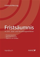 Gernot Herzog, Gunther Liebhart - Fristsäumnis