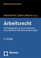 Hümmeric, Klaus Hümmerich, Lück, Olive Lücke, Oliver Lücke, Mauer... - Arbeitsrecht, m. CD-ROM