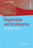 Jör Sydow, Jörg Sydow, Wirth, Wirth, Carsten Wirth - Organisation und Strukturation