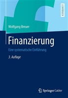 Wolfgang Breuer - Finanzierung