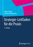 Probs, Gilber Probst, Gilbert Probst, WIEDEMANN, Christian Wiedemann - Strategie-Leitfaden für die Praxis