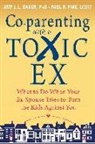 Amy Baker, Amy J L Baker, Amy J. L. Baker, Amy J. L. Fine Baker, Amy J. L./ Fine Baker, Amy J.L. Baker... - Co-parenting with a Toxic Ex