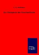 C K Hoffmann, C. K. Hoffmann - Zur Ontogenie der Knochenfische