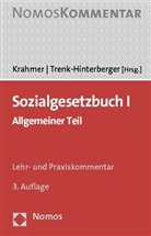 Krahme, Ut Krahmer, Utz Krahmer, Trenk-Hinterberge, Trenk-Hinterberger, Peter Trenk-Hinterberger - Sozialgesetzbuch (SGB) I