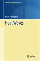 Brian Straughan - Heat Waves