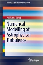 Wolfram Schmidt - Numerical Modelling of Astrophysical Turbulence