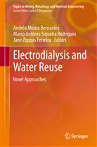 Marc Antônio Siqueira Rodrigues, Marco Antônio Siqueira Rodrigues, Andrea Bernardes, Andréa Moura Bernardes, Marco Ant¿nio Siqueira Rodrigues, Marco Antônio Siqueira Rodrigues... - Electrodialysis and Water Reuse