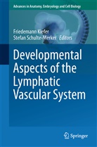 Friedeman Kiefer, Friedemann Kiefer, Schulte-Merker, Schulte-Merker, Stefan Schulte-Merker, Schulte Stefan - Developmental Aspects of the Lymphatic Vascular System