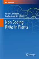 Volke A Erdmann, Volker A Erdmann, Barciszewski, Barciszewski, hab. Jan Barciszewski, Jan Barciszewski... - Non Coding RNAs in Plants
