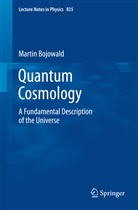 Martin Bojowald - Quantum Cosmology