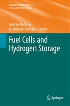 Andre Bocarsly, Andrew Bocarsly, Michael P Mingos, Michael P Mingos, David M. P. Mingos, David Michael P. Mingos - Fuel Cells and Hydrogen Storage