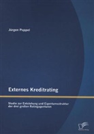 Jürgen Poppel - Externes Kreditrating: Studie zur Entstehung und Eigentumsstruktur der drei großen Ratingagenturen