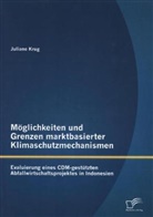 Juliane Krug - Möglichkeiten und Grenzen marktbasierter Klimaschutzmechanismen