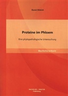 Daniel Dittrich - Proteine im Phloem: Eine phytopathologische Untersuchung