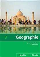 Kerstin Bräuer, Helmut Fiedler, Roland Frenzel, Wolfgang Gerber, Sascha Kotztin, Frank Morgeneyer... - Diercke Geographie, Gymnasium Sachsen-Anhalt: Diercke / Seydlitz  Geographie - Ausgabe 2011 für die Sekundarstufe I in Sachsen