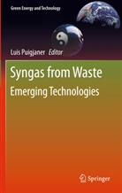 Lui Puigjaner, Luis Puigjaner - Syngas from Waste