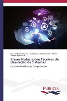 José de Jesú Medel Juárez, José de Jesús Medel Juárez, Rosaur Palma Orozco, Rosaura Palma Orozco, María Teresa Zagaceta A. - Breves Notas sobre Técnicas de Desarrollo de Sistemas