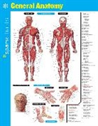 SparkNotes, SparkNotes (COR) - General Anatomy Sparkcharts