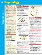 SparkNotes, SparkNotes (COR) - Psychology Sparkcharts