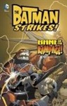Christopher Jones, Bill Matheny, Christopher Jones - Batman Strikes!