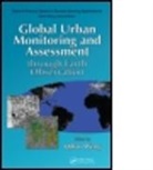 qihao W, Qihao Weng, Qihao (Hong Kong Polytechnic University Weng, Qihao (Indiana State University Weng, Qihao Weng, Qihao (Indiana State University Weng... - Global Urban Monitoring and Assessment Through Earth Observation
