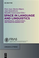 Peter Auer, Marti Hilpert, Martin Hilpert, Anja Stukenbrock, Anja Stukenbrock et al, Benedikt Szmrecsanyi - Space in Language and Linguistics